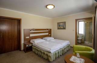 Отели типа «постель и завтрак» Pensjonat Rogatka Осечна Двухместный номер «Комфорт» с 1 кроватью или 2 отдельными кроватями-11