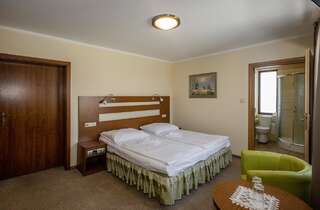 Отели типа «постель и завтрак» Pensjonat Rogatka Осечна Двухместный номер «Комфорт» с 1 кроватью или 2 отдельными кроватями-5